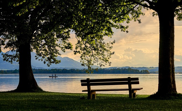 a beach and trees beside a lake with mountains in the distance