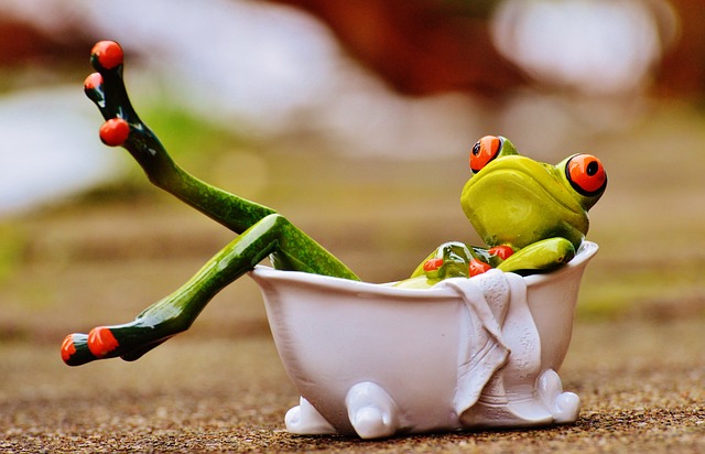 frog lounging in a bathtub