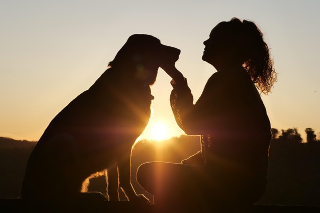 silhouette of woman and dog in the sunset