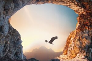 eagle through the mouth of a cave