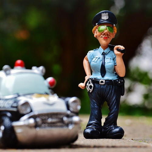 The View From the Back of a Police Car